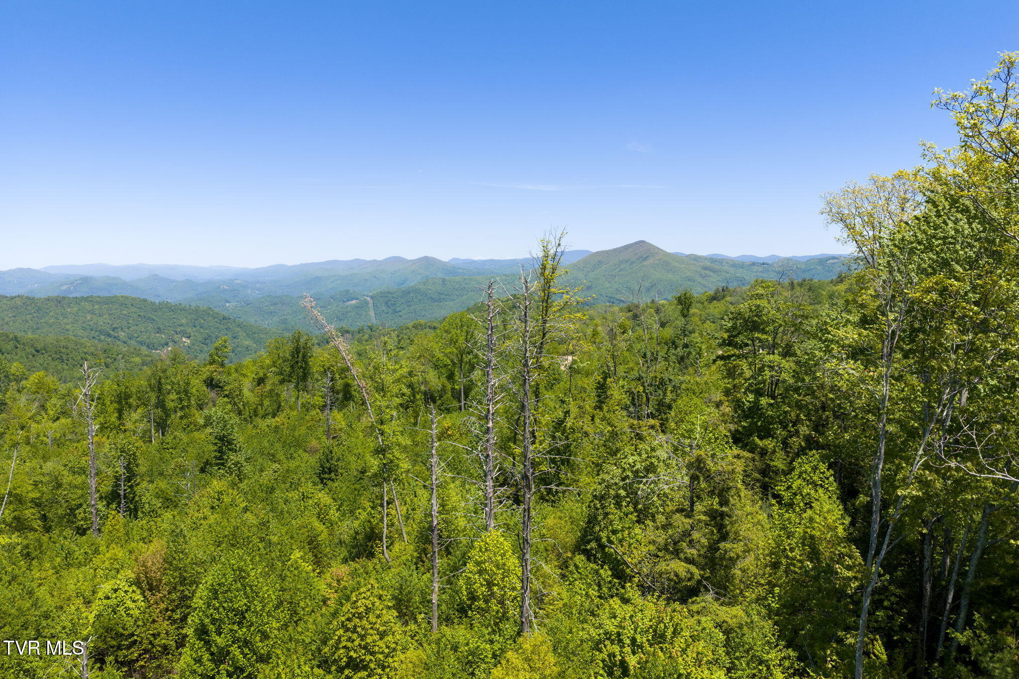 Tbd Walnut Mountain Road, Unit TBD Butler, TN 37640 - Photo 1 of 22 2-web-or-mls-DJI_20260512141435_0693_D