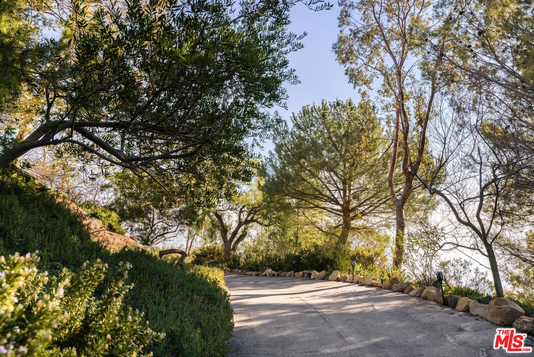 401 Moonrise Drive Malibu, CA 90265 - Photo 4 of 47 a view of road and trees