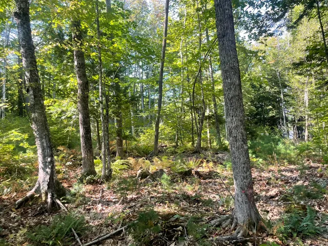 $900,000 | 0 Route9-126 Road, Litchfield, ME 04350