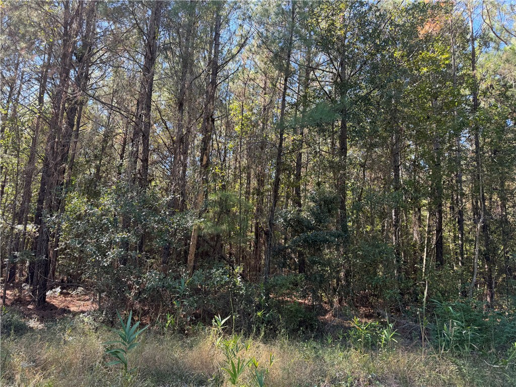 6.69-acs Buck Ryals Road Northeast Townsend, GA 31331 - Photo 6 of 8