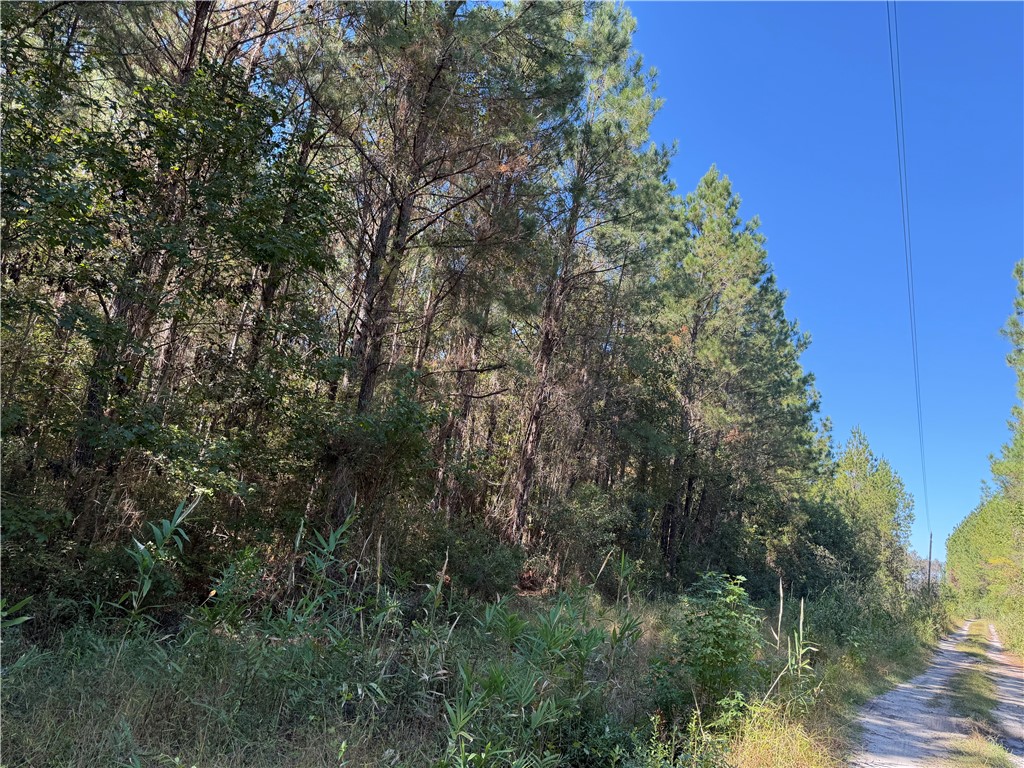 6.69-acs Buck Ryals Road Northeast Townsend, GA 31331 - Photo 7 of 8