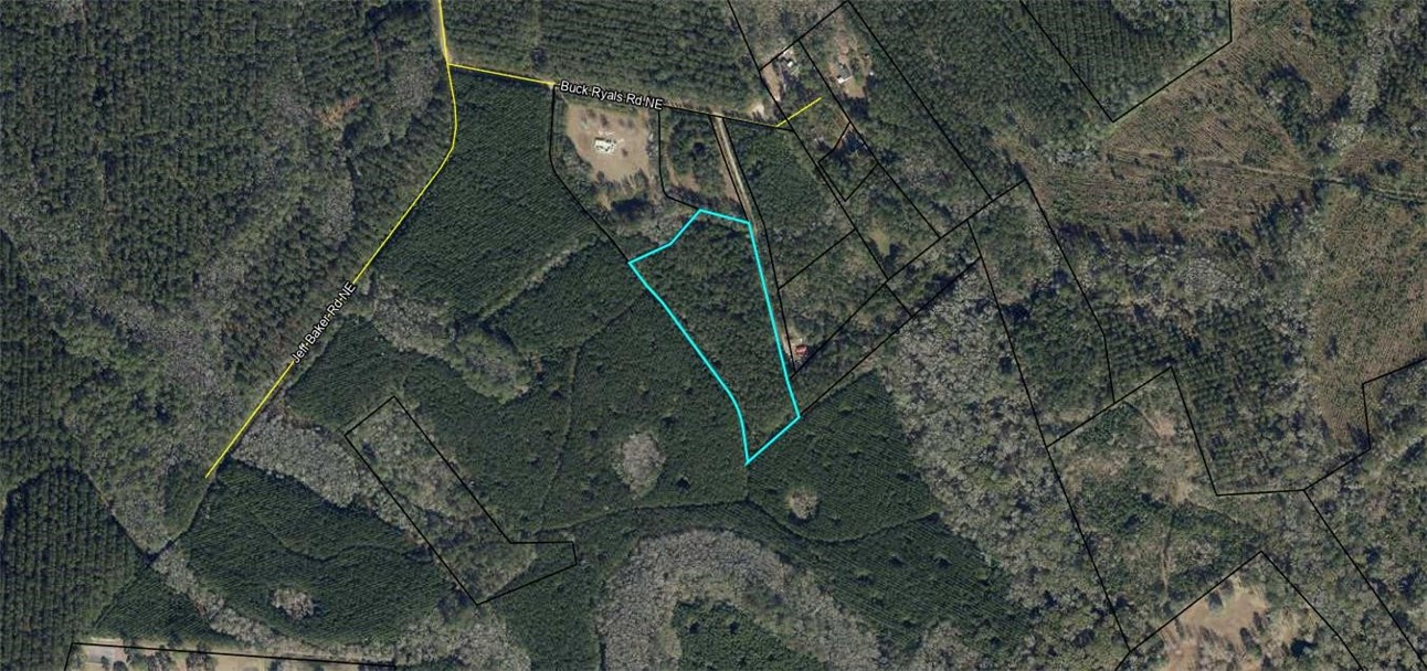 6.69-acs Buck Ryals Road Northeast Townsend, GA 31331 - Photo 8 of 8