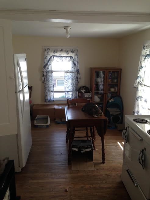 151 Wakefield Street Rochester, NH 03867 - Photo 14 of 20 Gallery Image 14