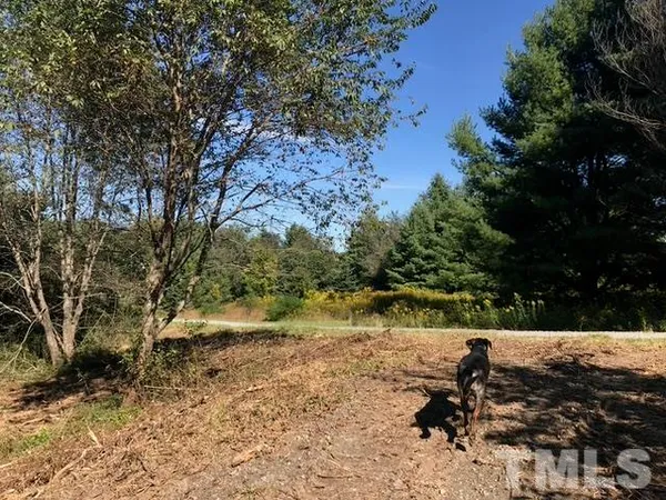 a view of a covered with snow in the background