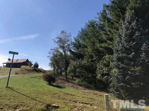 a view of a yard with plants and trees