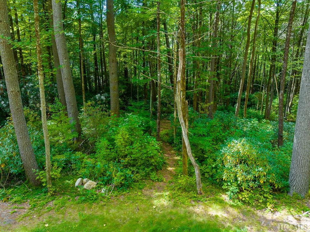 Lot 82 Flagstone Road Sapphire, NC 28774 - Photo 6 of 44 Gallery Image 6