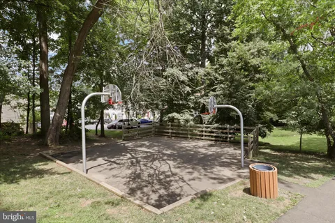 a street sign that is on a tree