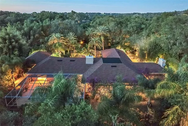 a view of a yard with plants and trees