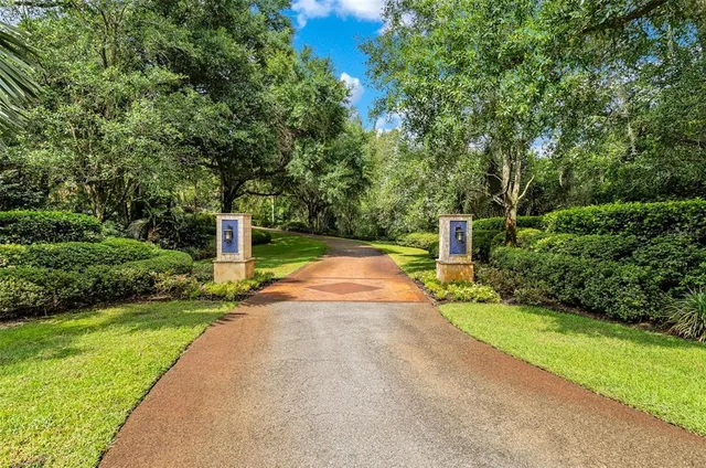 a view of a house with a yard and a large tree