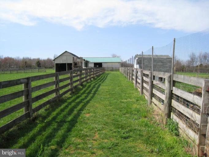4415 Gregg Road Brookeville, MD 20833 - Photo 15 of 30 Walkway to barns