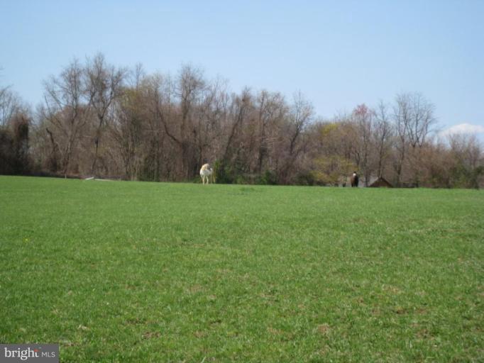 4415 Gregg Road Brookeville, MD 20833 - Photo 17 of 30 Back Pasture