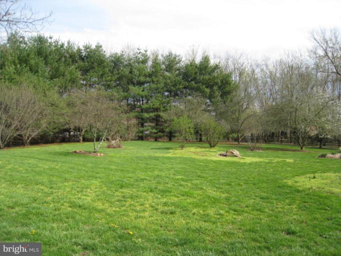 4415 Gregg Road Brookeville, MD 20833 - Photo 6 of 30 Organic Orchard