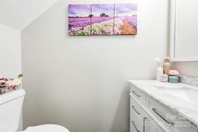 a bathroom with a sink a toilet and vanity