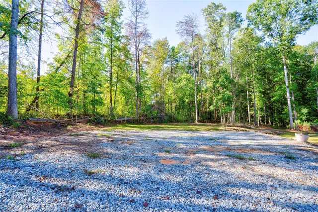 a view of a yard with a trees