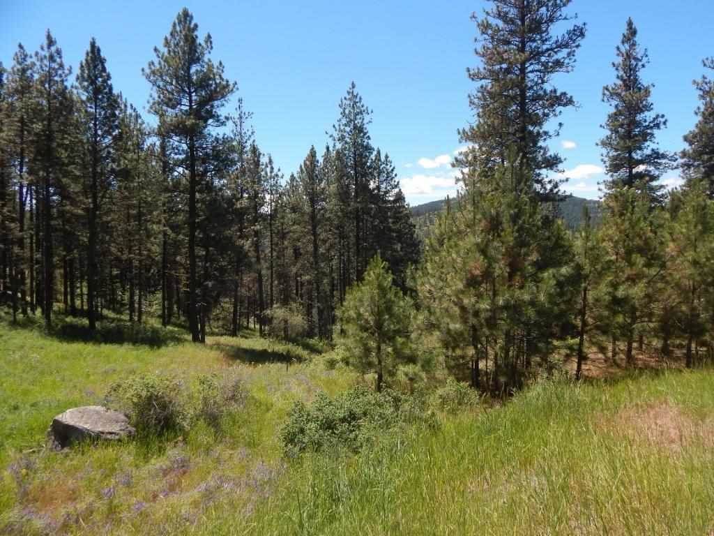 Tbd Kitt-Narcisse Road Colville, WA 99114 - Photo 1 of 8