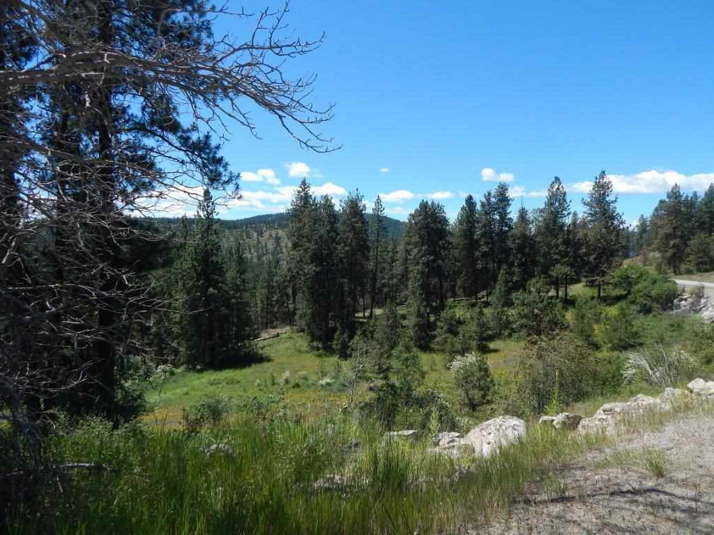 Tbd Kitt-Narcisse Road Colville, WA 99114 - Photo 2 of 8
