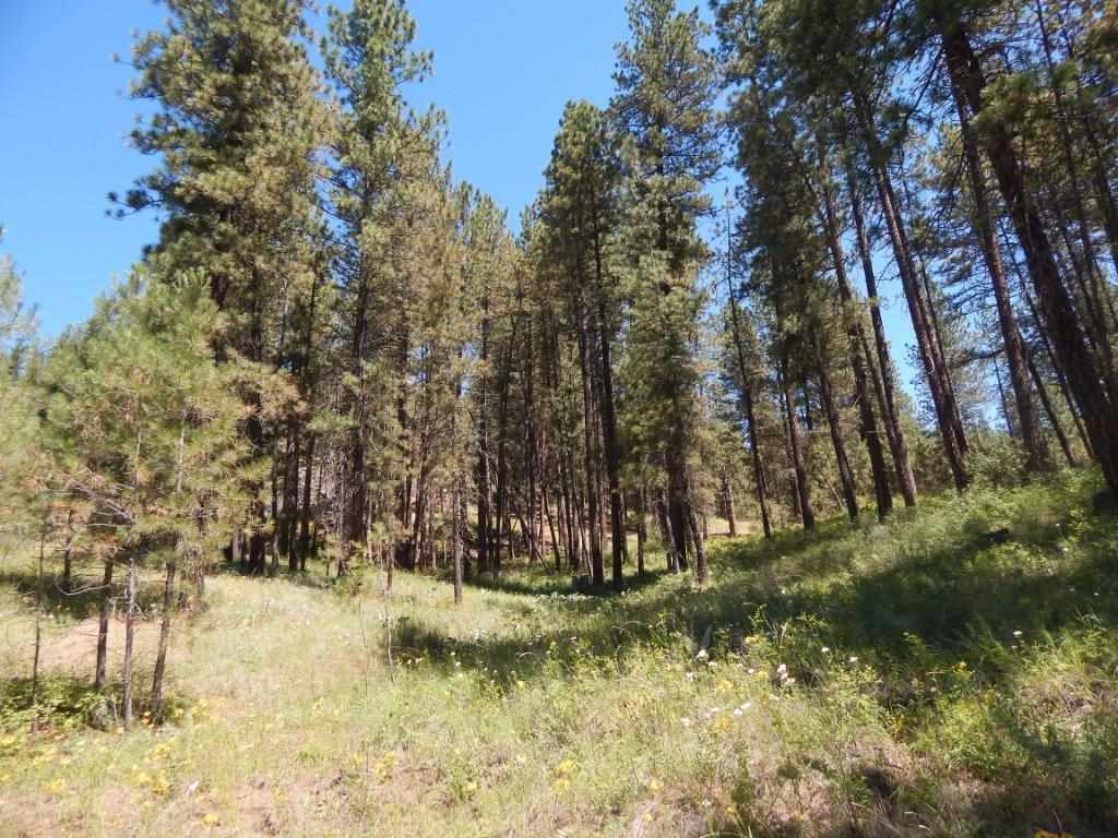 Tbd Kitt-Narcisse Road Colville, WA 99114 - Photo 4 of 8