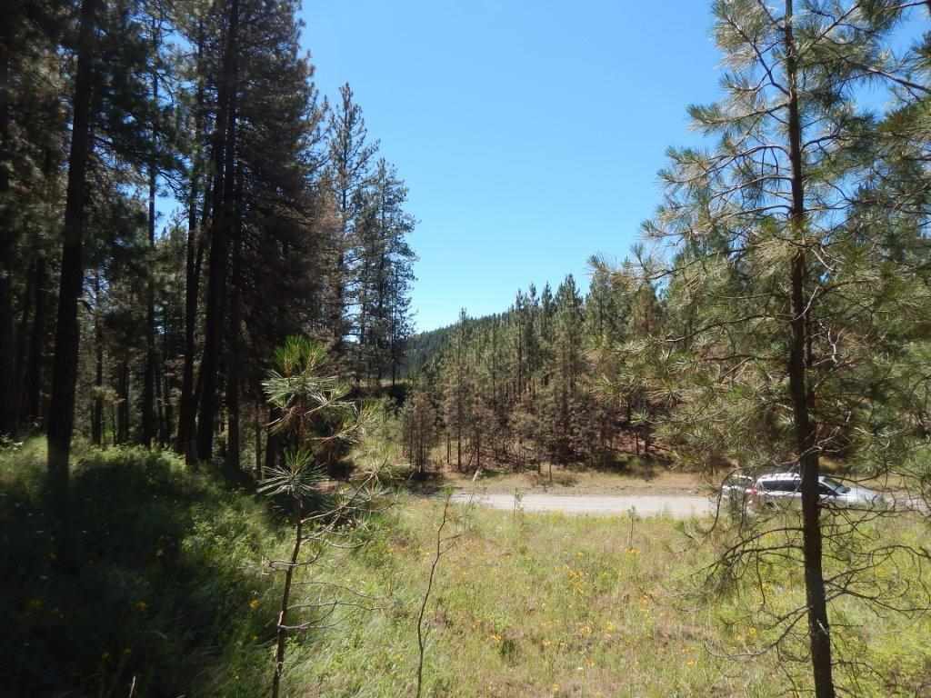Tbd Kitt-Narcisse Road Colville, WA 99114 - Photo 5 of 8