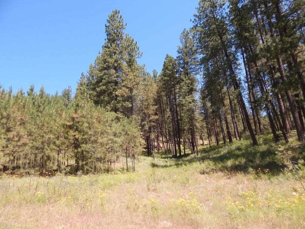 Tbd Kitt-Narcisse Road Colville, WA 99114 - Photo 6 of 8