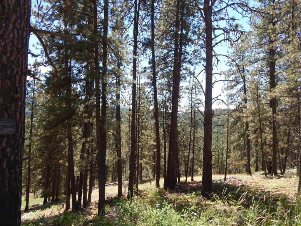 Tbd Kitt-Narcisse Road Colville, WA 99114 - Photo 7 of 8