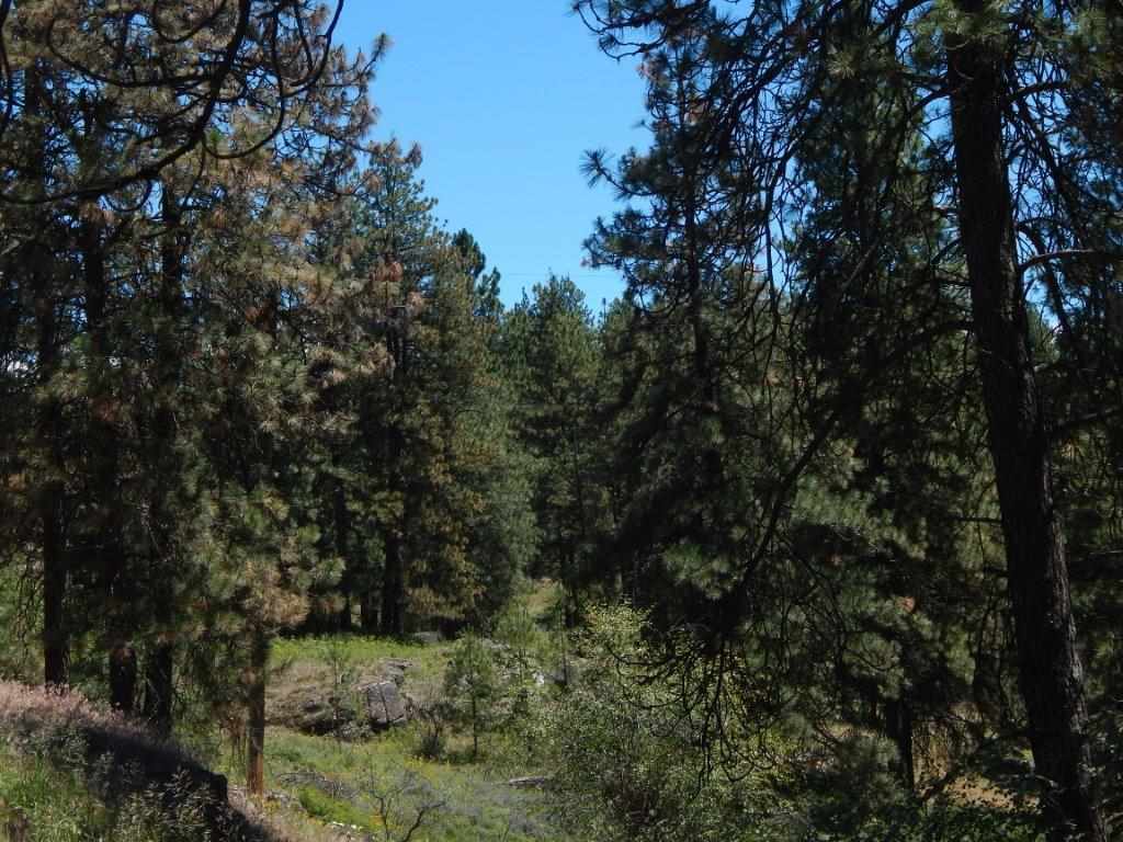 Tbd Kitt-Narcisse Road Colville, WA 99114 - Photo 8 of 8