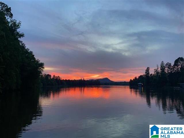 0 Davis Acres Drive, Unit 2A Alpine, AL 35014 - Photo 1 of 1