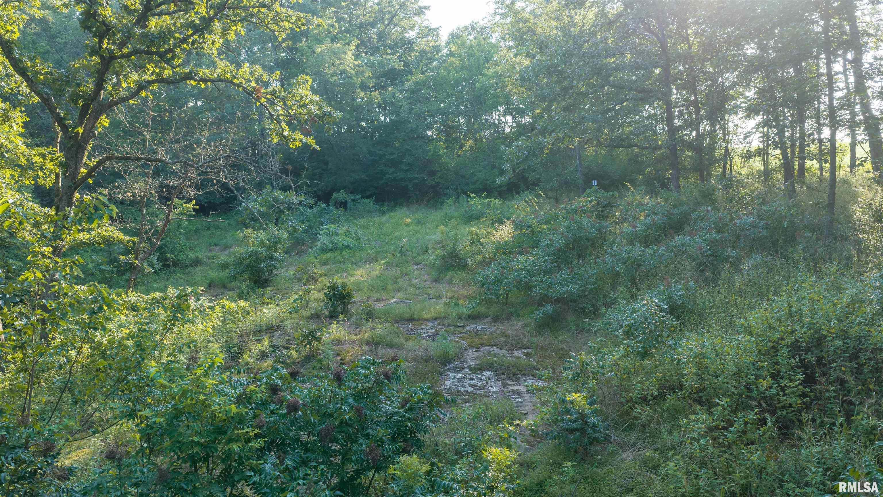 3002 Carr Road Red Bud, IL 62278 - Photo 39 of 79 Gallery Image 39