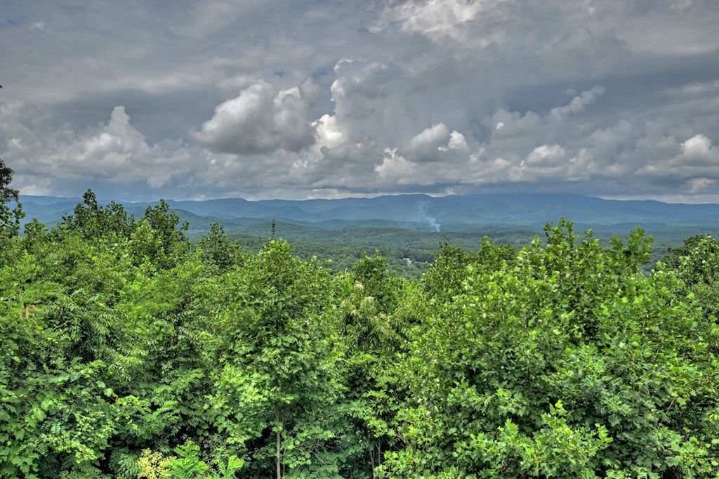 572 Sunrock Mountain Trace Blue Ridge, GA 30513 - Photo 4 of 43