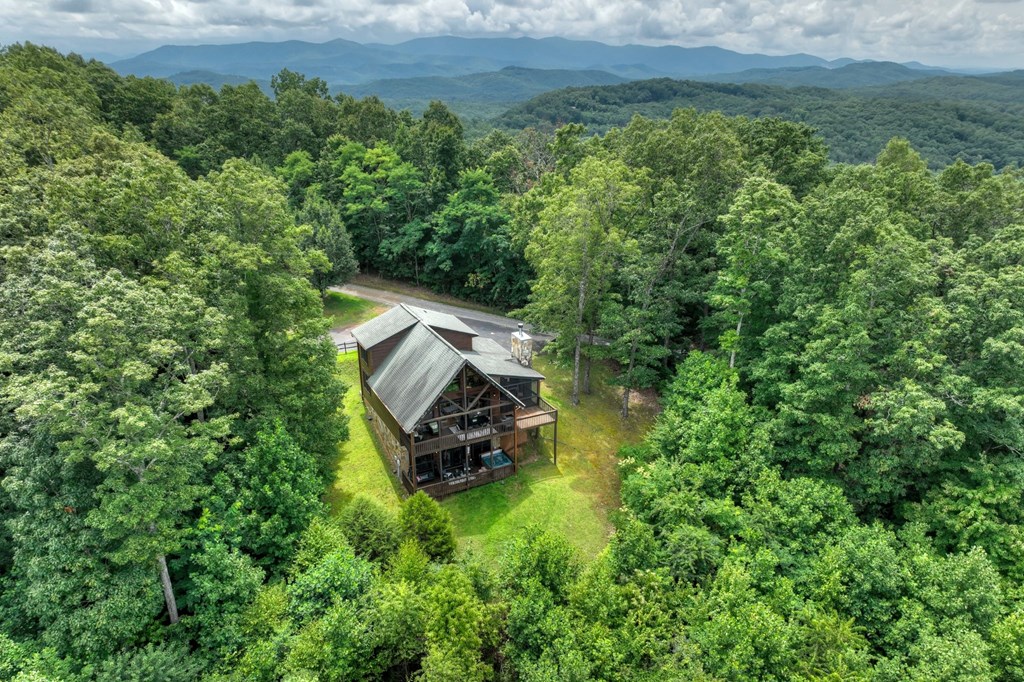 572 Sunrock Mountain Trace Blue Ridge, GA 30513 - Photo 41 of 43