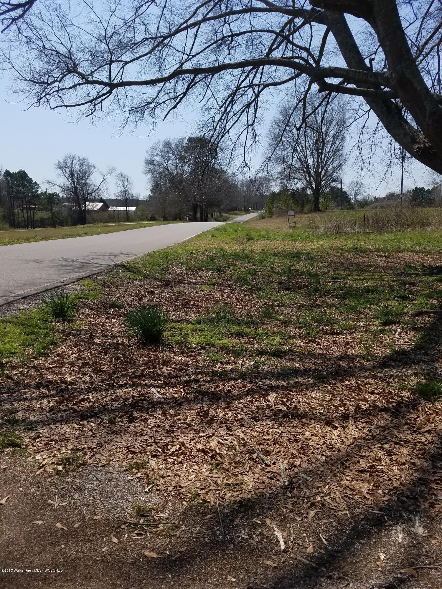 Lisa Road Jasper, AL 35501 - Photo 1 of 1 Gallery Image 1