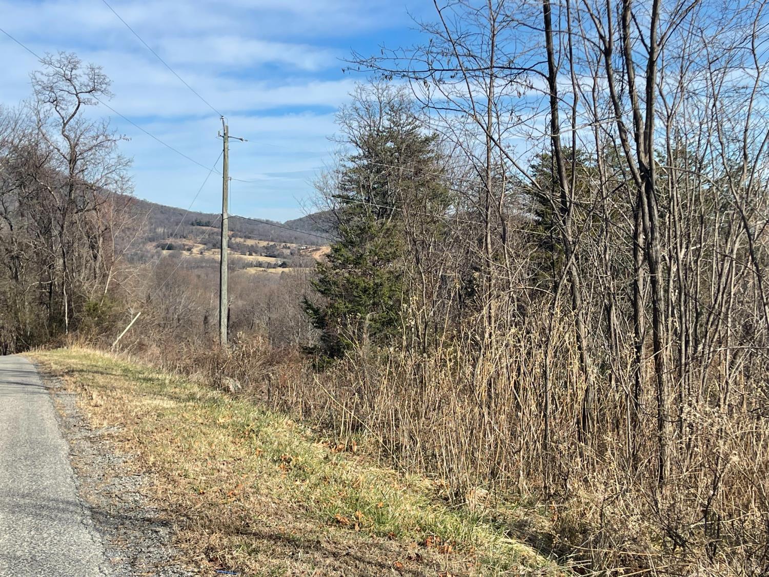 0 Taylor Mountain Road Thaxton, VA 24174 - Photo 4 of 8 Gallery Image 4