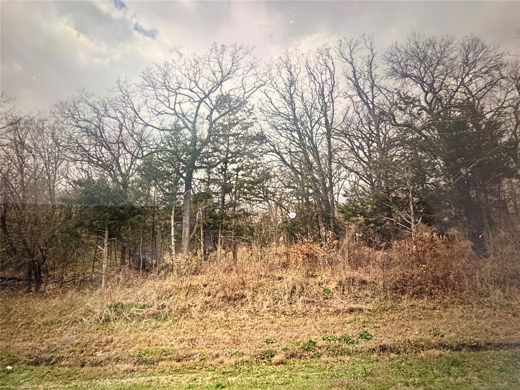323 Daniel Boone Road Honey Grove, TX 75446 - Photo 1 of 2