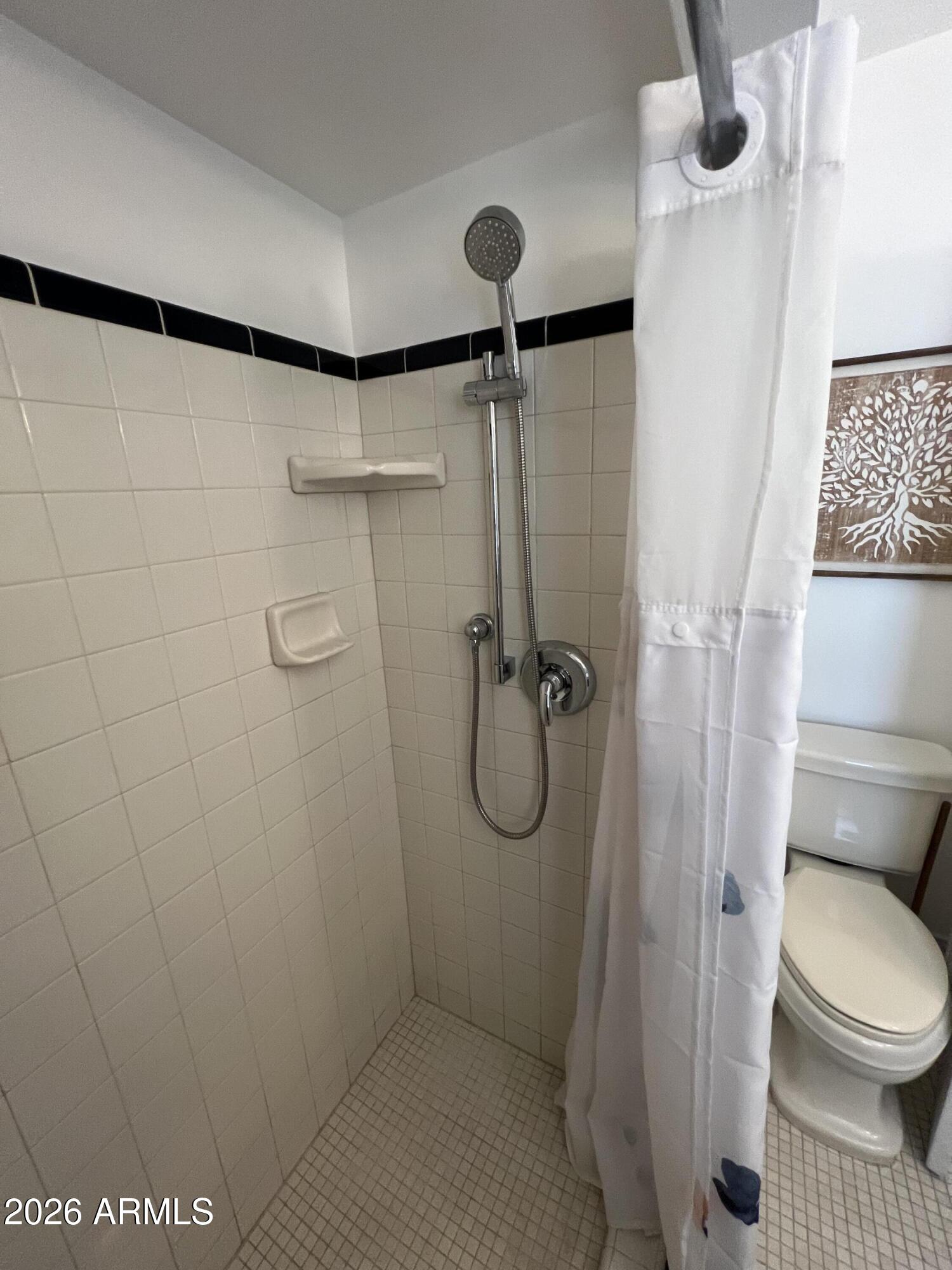 1326 East Coronado Road Phoenix, AZ 85006 - Photo 16 of 36 a bathroom with a shower and toilet