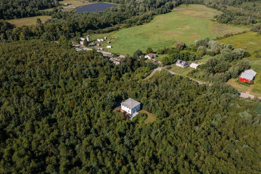 26 Hollow Road Brimfield, MA 01010 - Photo 39 of 39 a view of a bunch of trees and bushes