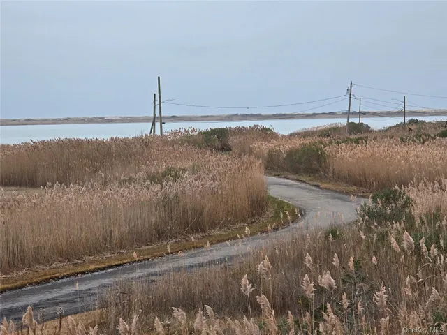 a view of a dry yard with wooden fence