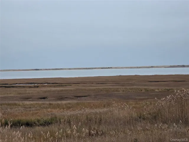 a view of an ocean beach