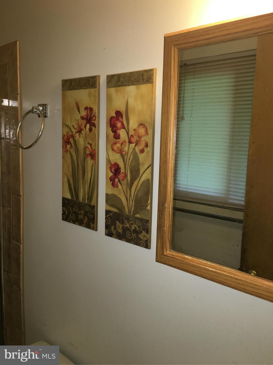 6813 Nashville Road Hyattsville, MD 20784 - Photo 14 of 20 Bath (Master)
