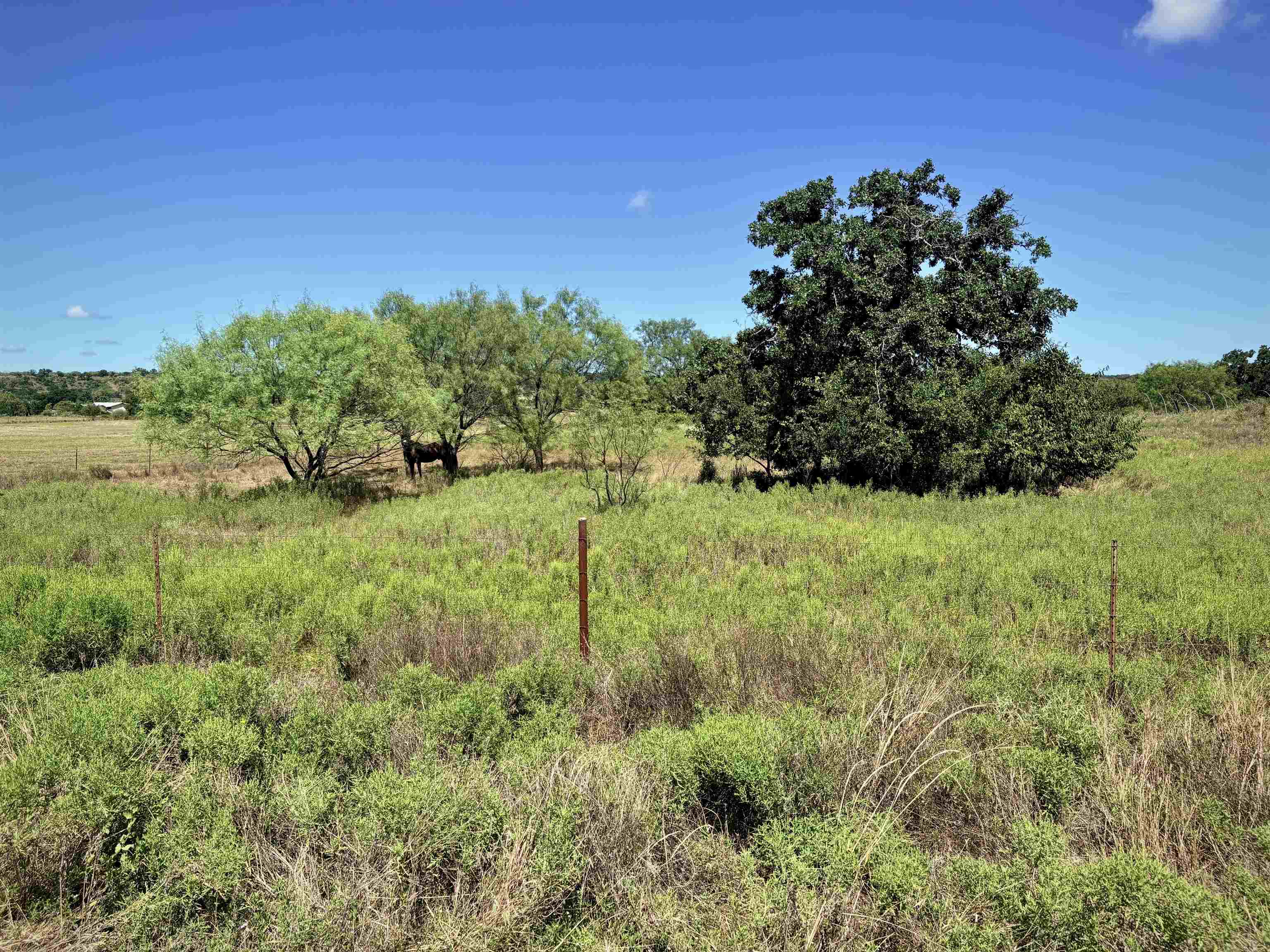 Buffalo Spring Cir Valley Spring Valley Spring, TX 76885 - Photo 10 of 13 Gallery Image 10