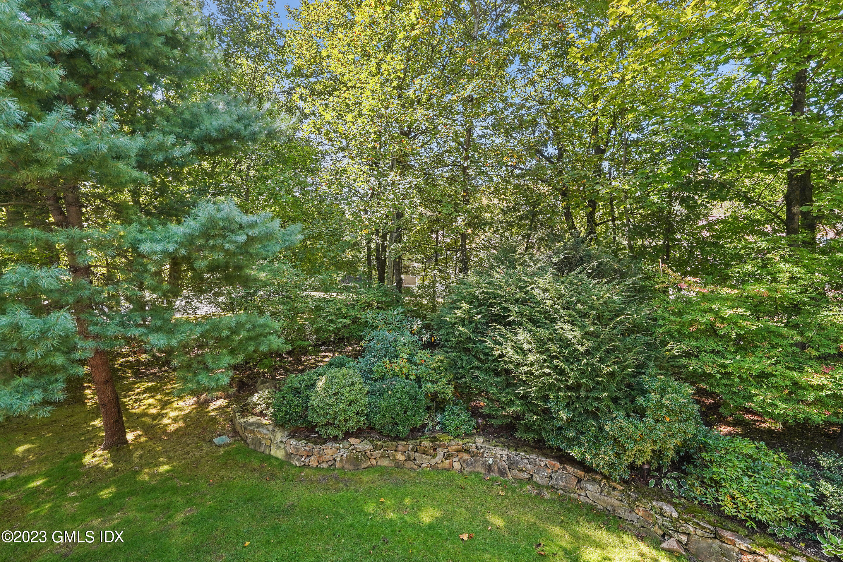 500 River Road, Unit 12 Cos Cob, CT 06807 - Photo 26 of 30 a view of a lush green forest
