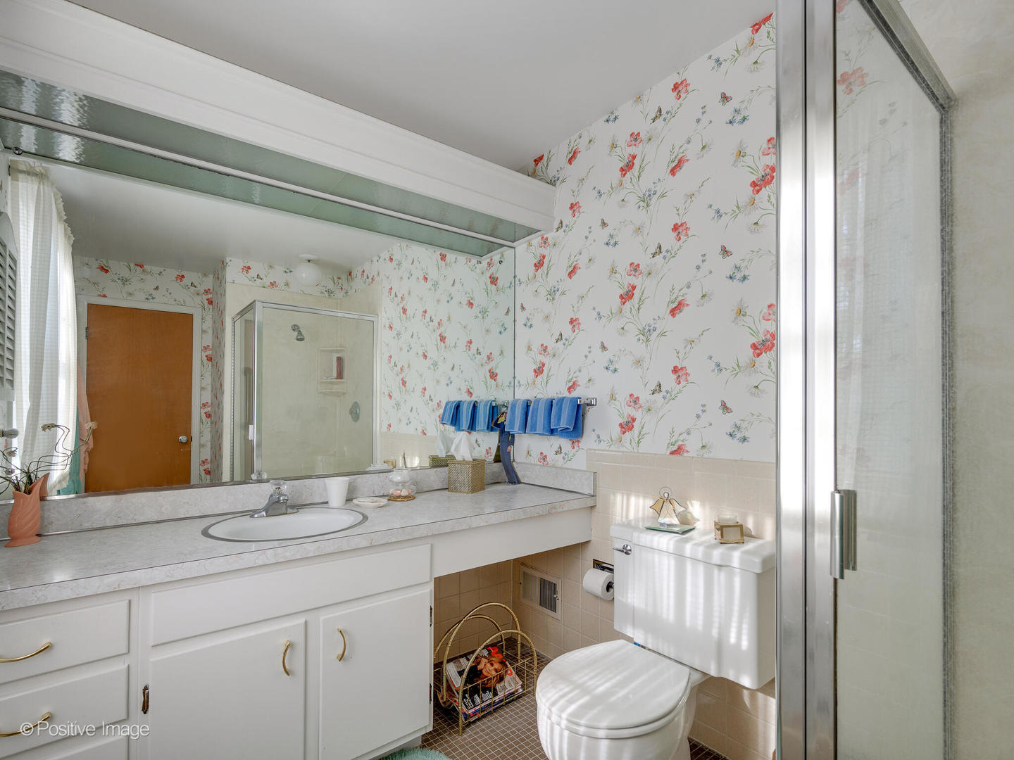 1107 Juniper Terrace Glenview, IL 60025 - Photo 18 of 30 a bathroom with a sink toilet and shower