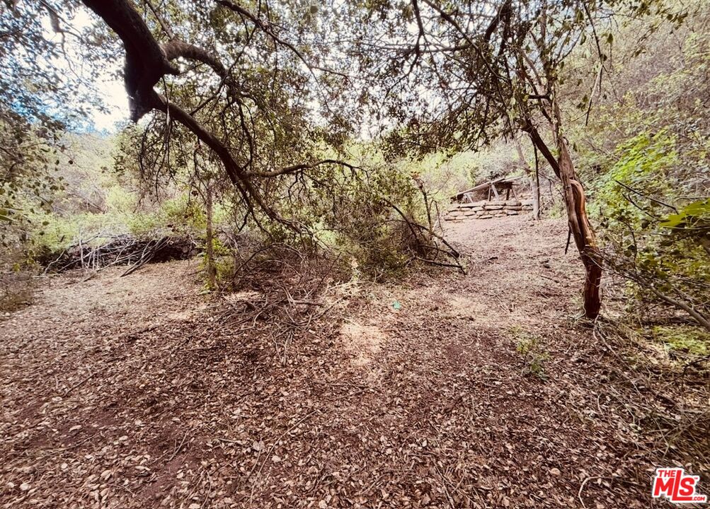 0 Red Rock Road Topanga, CA 90290 - Photo 51 of 53 a view of a yard with a tree
