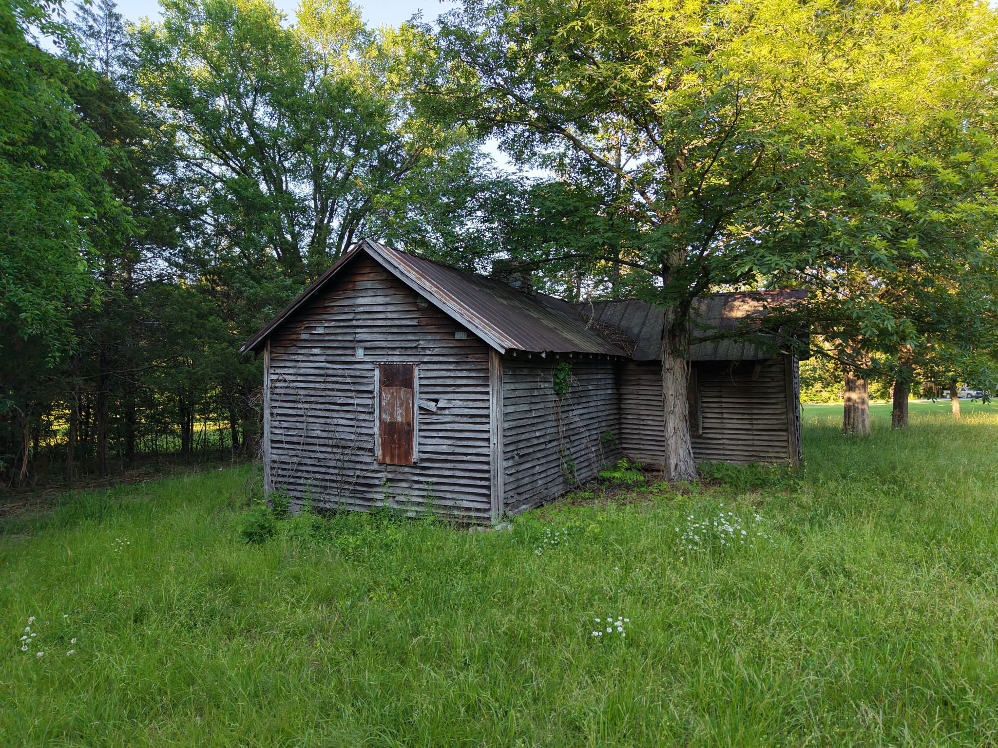 3 Millersburg Road Christiana, TN 37037 - Photo 51 of 60 a backyard of a house with lots of plants and large tree
