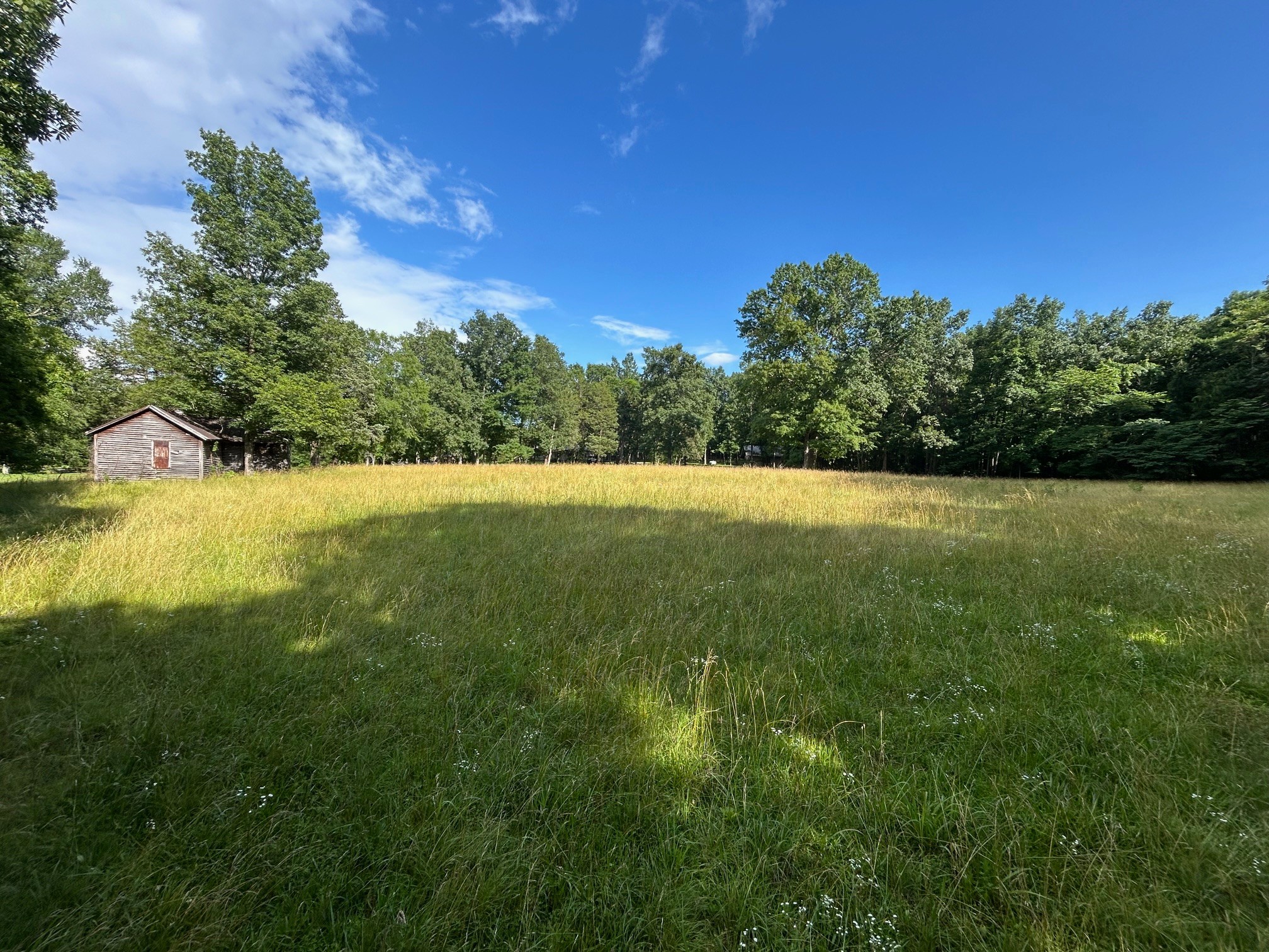 3 Millersburg Road Christiana, TN 37037 - Photo 54 of 60 a view of yard with trees in the background