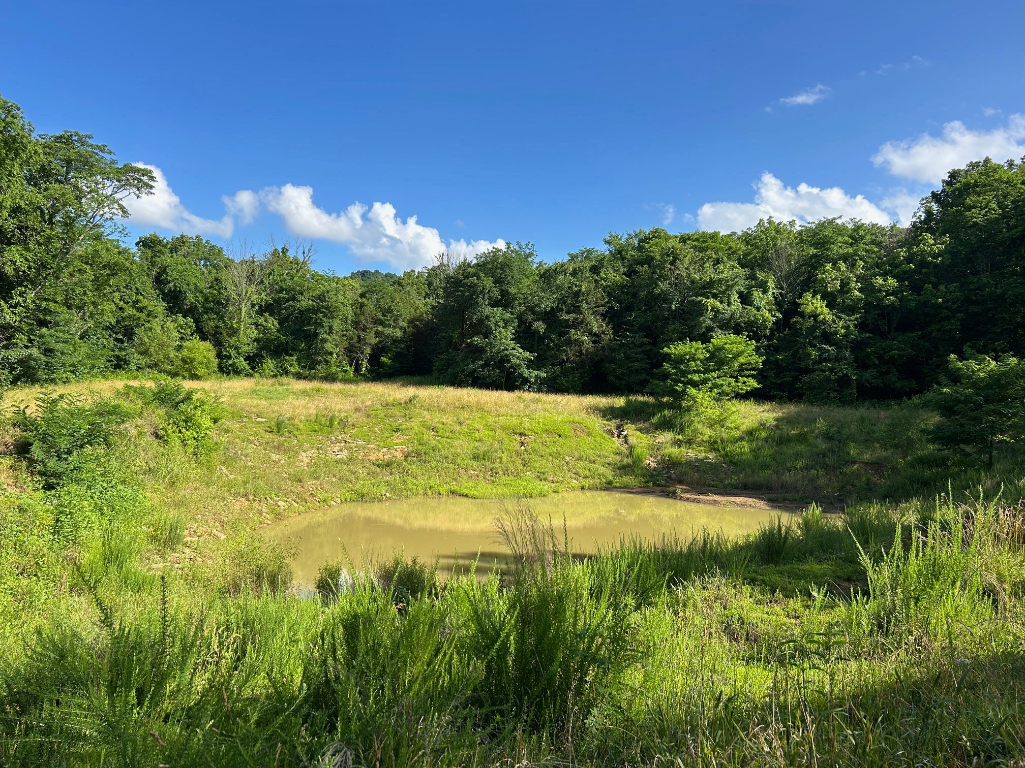 3 Millersburg Road Christiana, TN 37037 - Photo 56 of 60