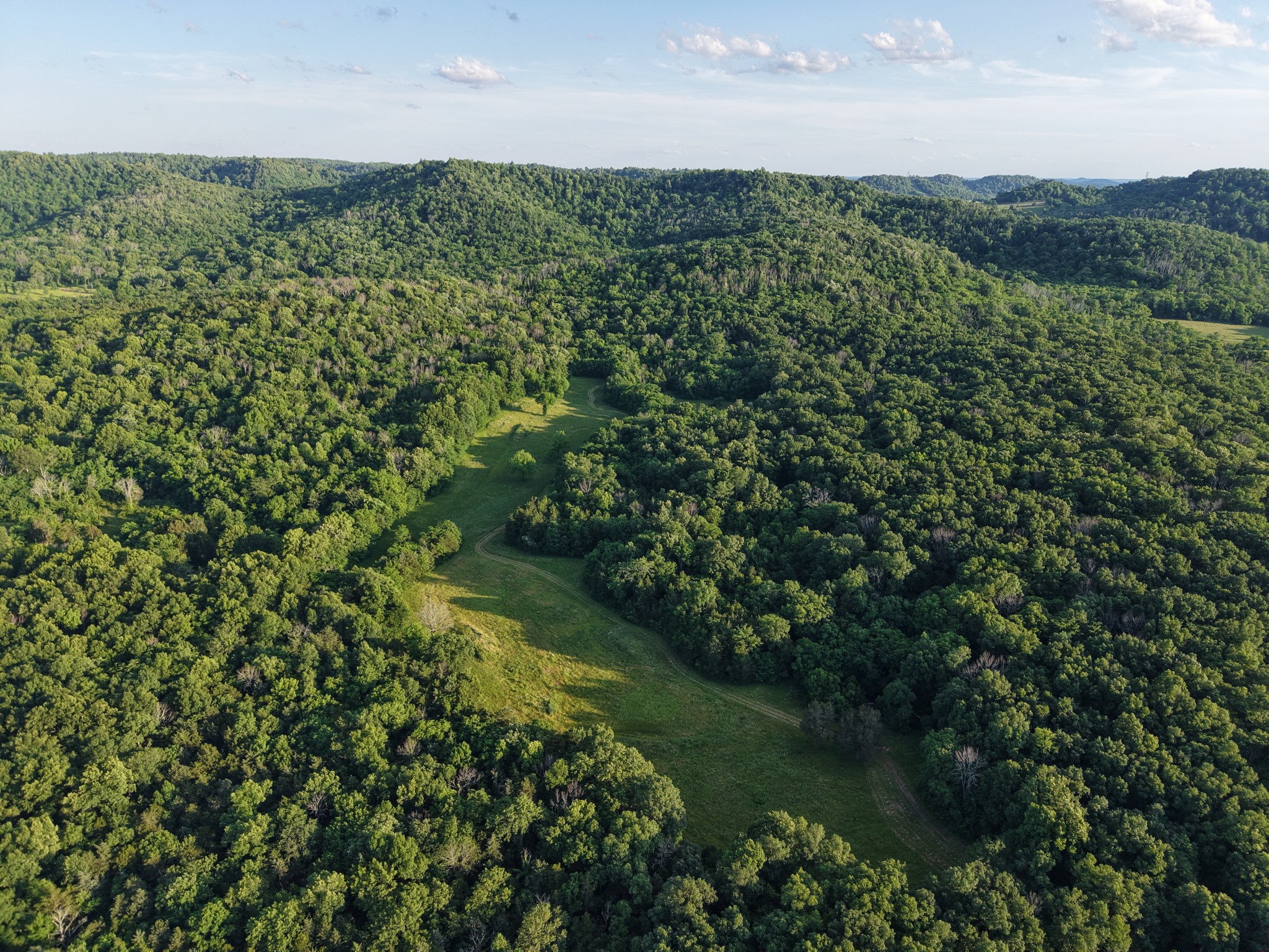 3 Millersburg Road Christiana, TN 37037 - Photo 58 of 60 a view of a forest with a houses
