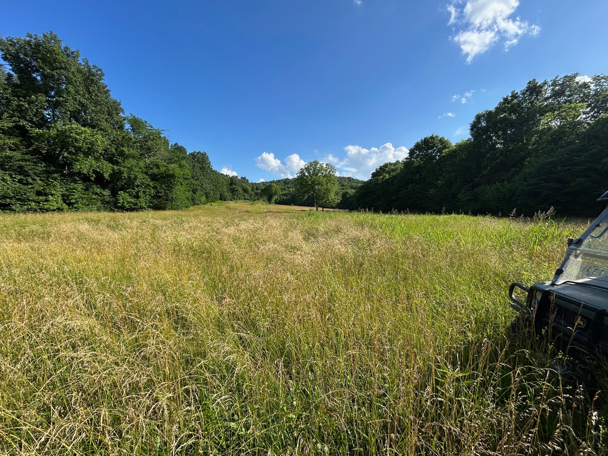 3 Millersburg Road Christiana, TN 37037 - Photo 59 of 60 a view of an ocean from a yard