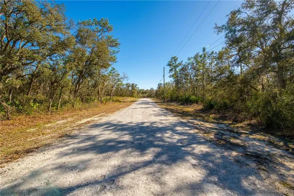 $27,000 | 8149 Renova Drive, Webster, FL 33597