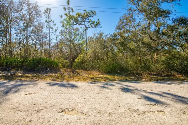 $27,000 | 8149 Renova Drive, Webster, FL 33597