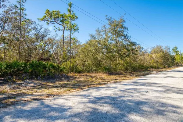 $27,000 | 8149 Renova Drive, Webster, FL 33597