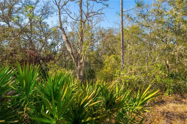 $27,000 | 8149 Renova Drive, Webster, FL 33597